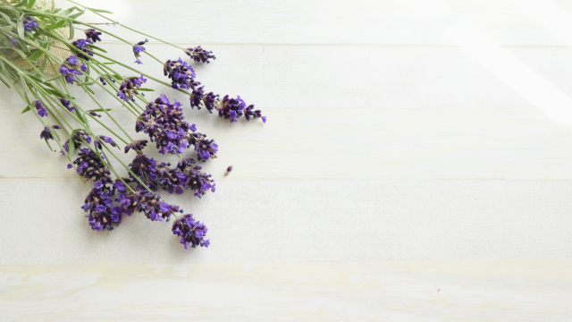 Best Bath Salts for Relaxation and Better Sleep: A Japanese Bather’s Picks