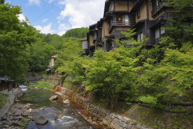 What Is a Ryokan? A First-Timer’s Guide to Japan’s Traditional Inns